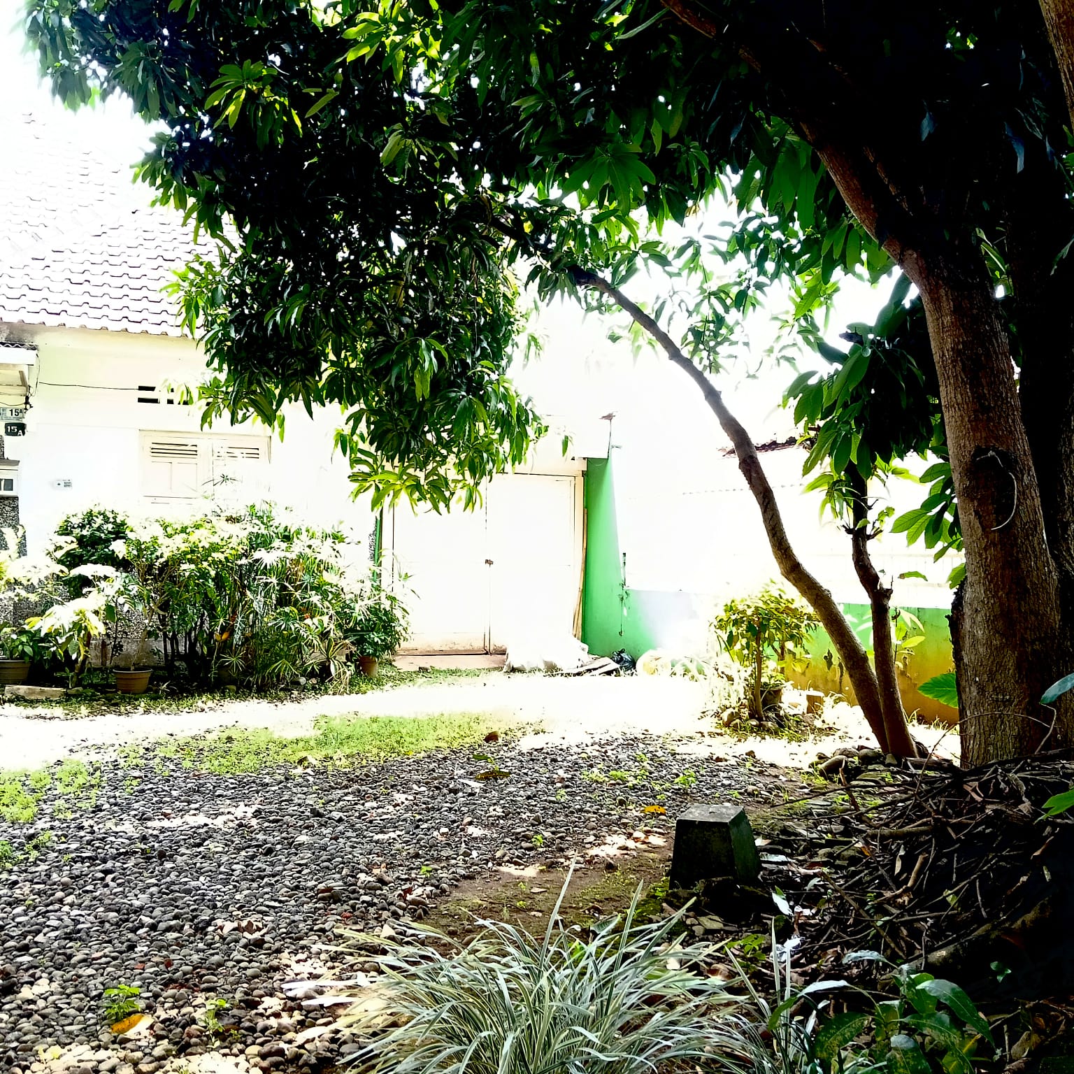 Dijual Rumah bergaya kolonial Belanda bangunan kokoh tengah kota Purwokerto - Geriatri view 5
