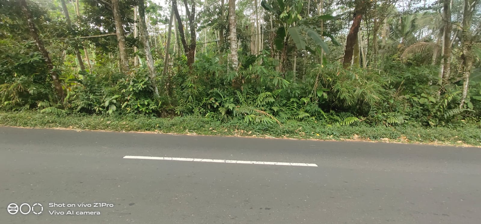 Tanah Strategis Pinggir Jalan Raya Jalur Wisata Baturaden - Kebumen view 2