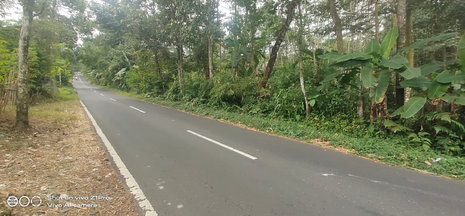 Tanah Strategis Pinggir Jalan Raya Jalur Wisata Baturaden - Kebumen view 4