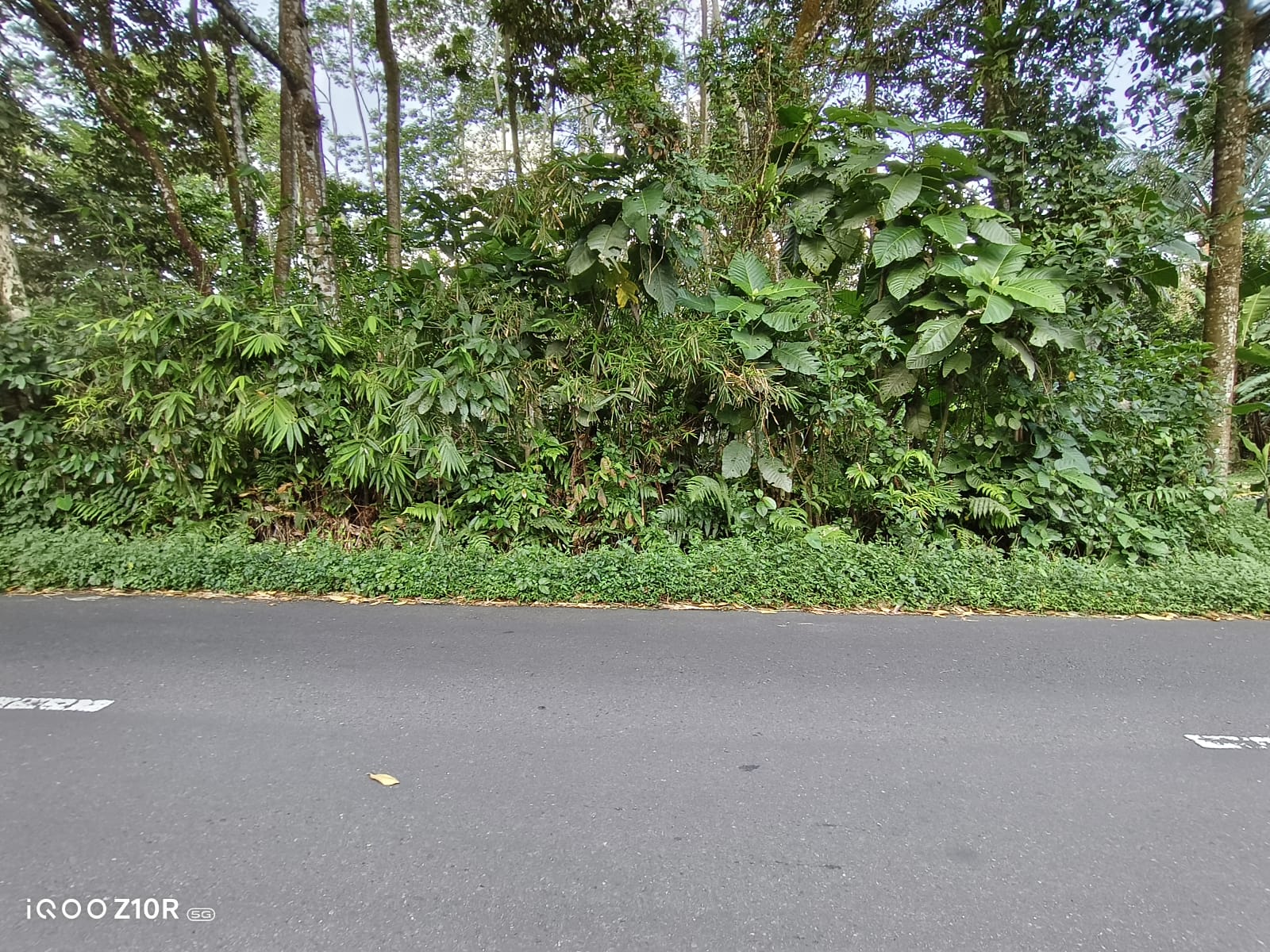 Tanah Strategis Pinggir Jalan Raya Jalur Wisata Baturaden - Kebumen view 5