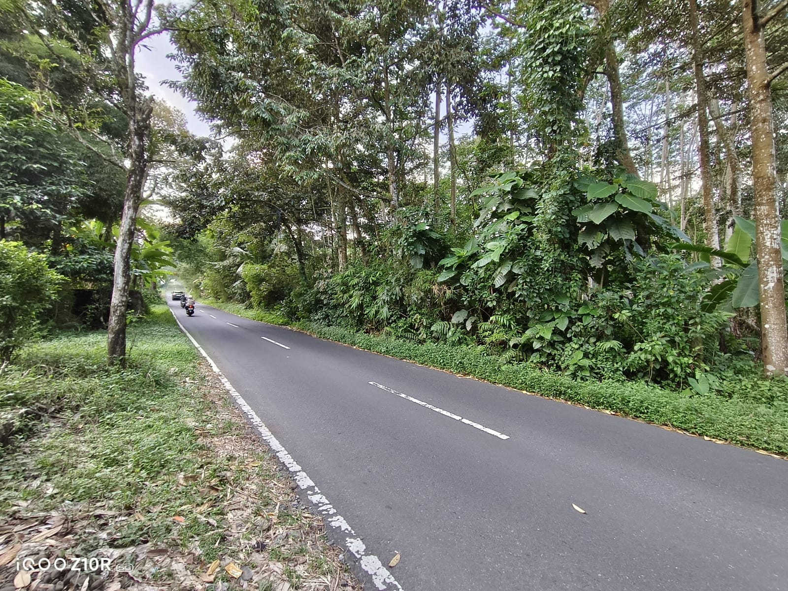 Tanah Strategis Pinggir Jalan Raya Jalur Wisata Baturaden - Kebumen view 1
