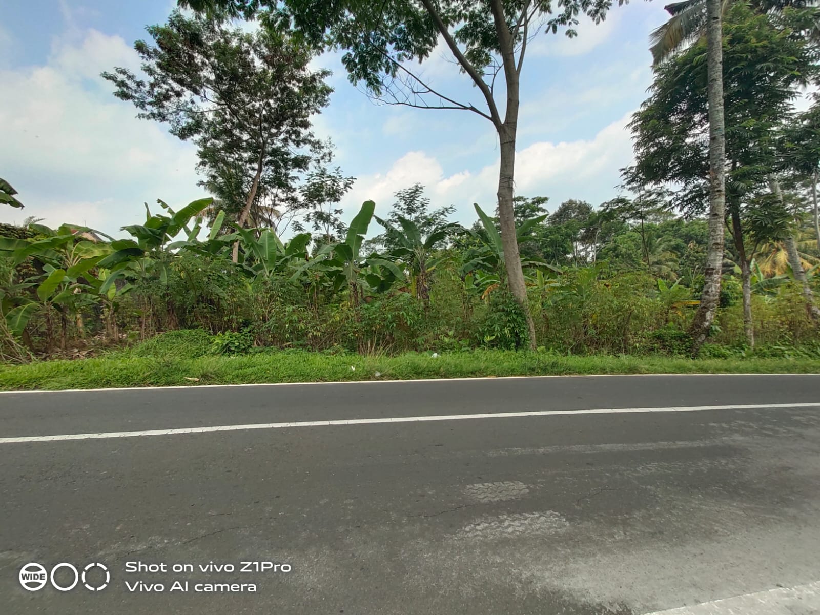 Tanah Strategis Dekat Lokawisata Baturaden Purwokerto - Ketenger view 2