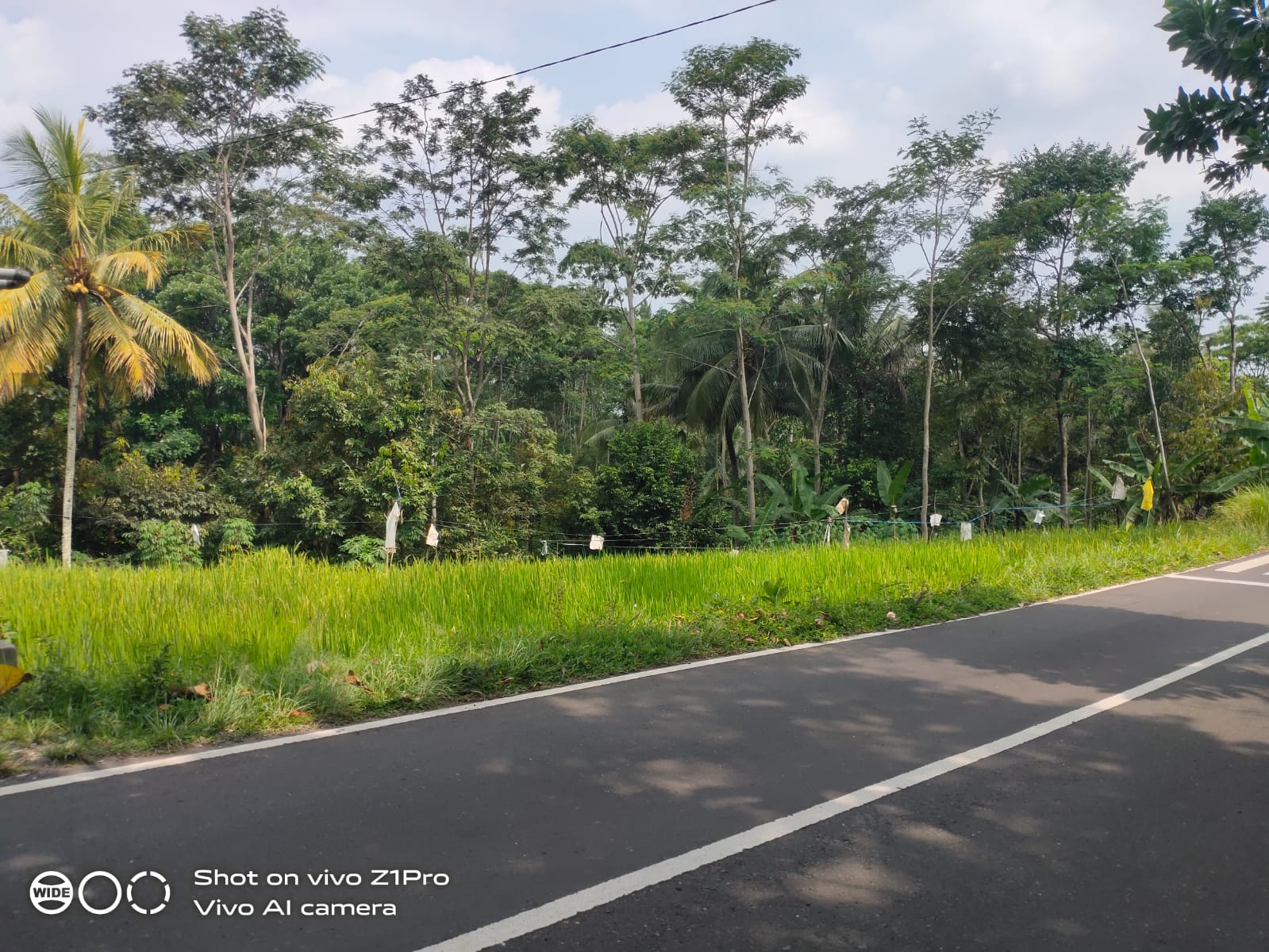 Tanah Strategis Dekat Lokawisata Baturaden Purwokerto - Ketenger view 3