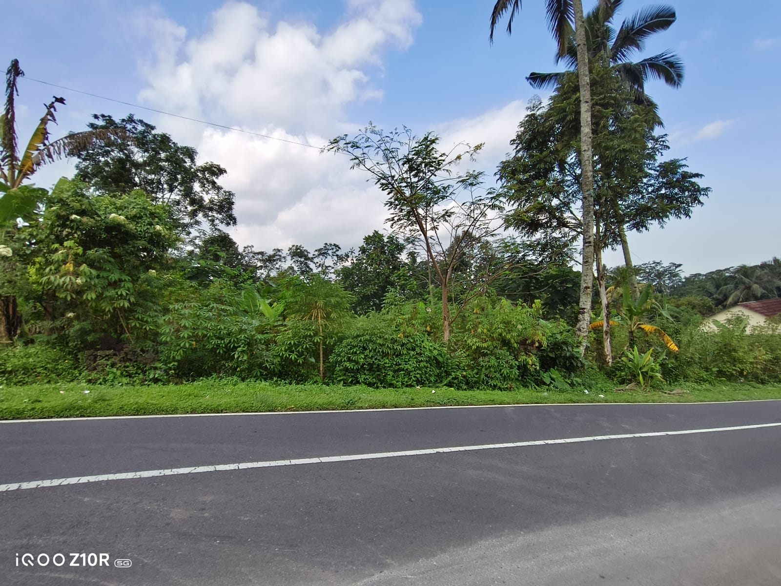 Tanah Strategis Dekat Lokawisata Baturaden Purwokerto - Ketenger view 1