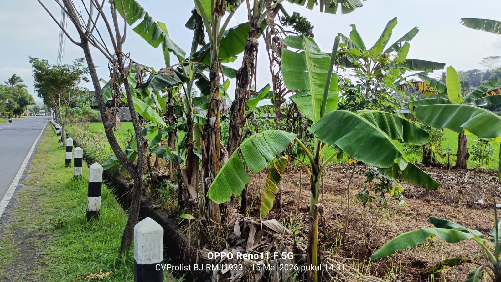 Dijual Tanah Akses Tronton Dan Fuso Dijalan Provinsi Banyumas - Banjarnegara view 2