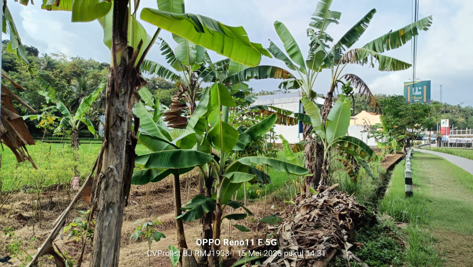 Dijual Tanah Akses Tronton Dan Fuso Dijalan Provinsi Banyumas - Banjarnegara view 3
