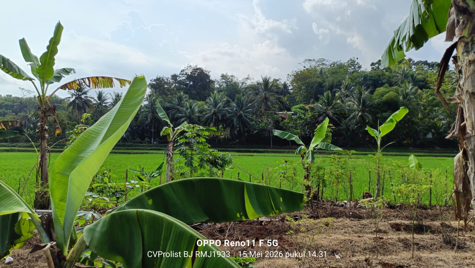 Dijual Tanah Akses Tronton Dan Fuso Dijalan Provinsi Banyumas - Banjarnegara view 5