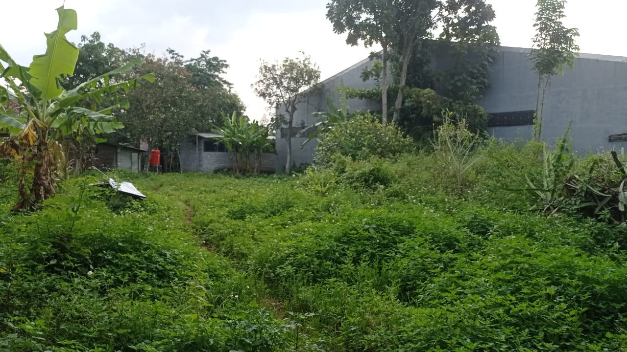 DIJUAL TANAH PEKARANGAN LEBAR 30 METER, JALUR BAWEN-SEMARANG, COCOK GUDANG, WORKSHOP, GARASI TRUK view 6