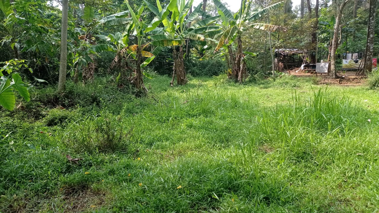 DIJUAL TANAH PEKARANGAN LEBAR 30 METER, JALUR BAWEN-SEMARANG, COCOK GUDANG, WORKSHOP, GARASI TRUK view 8