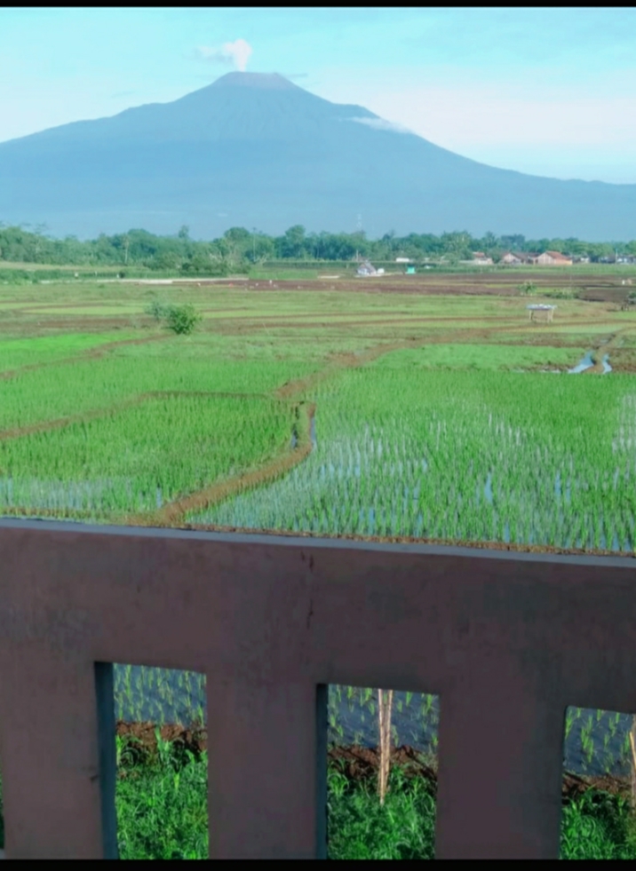 Dijual Rumah Huk 1,5 Lantai Siap Huni Di Perum Puri Babakan Baru Purbalingga view 10