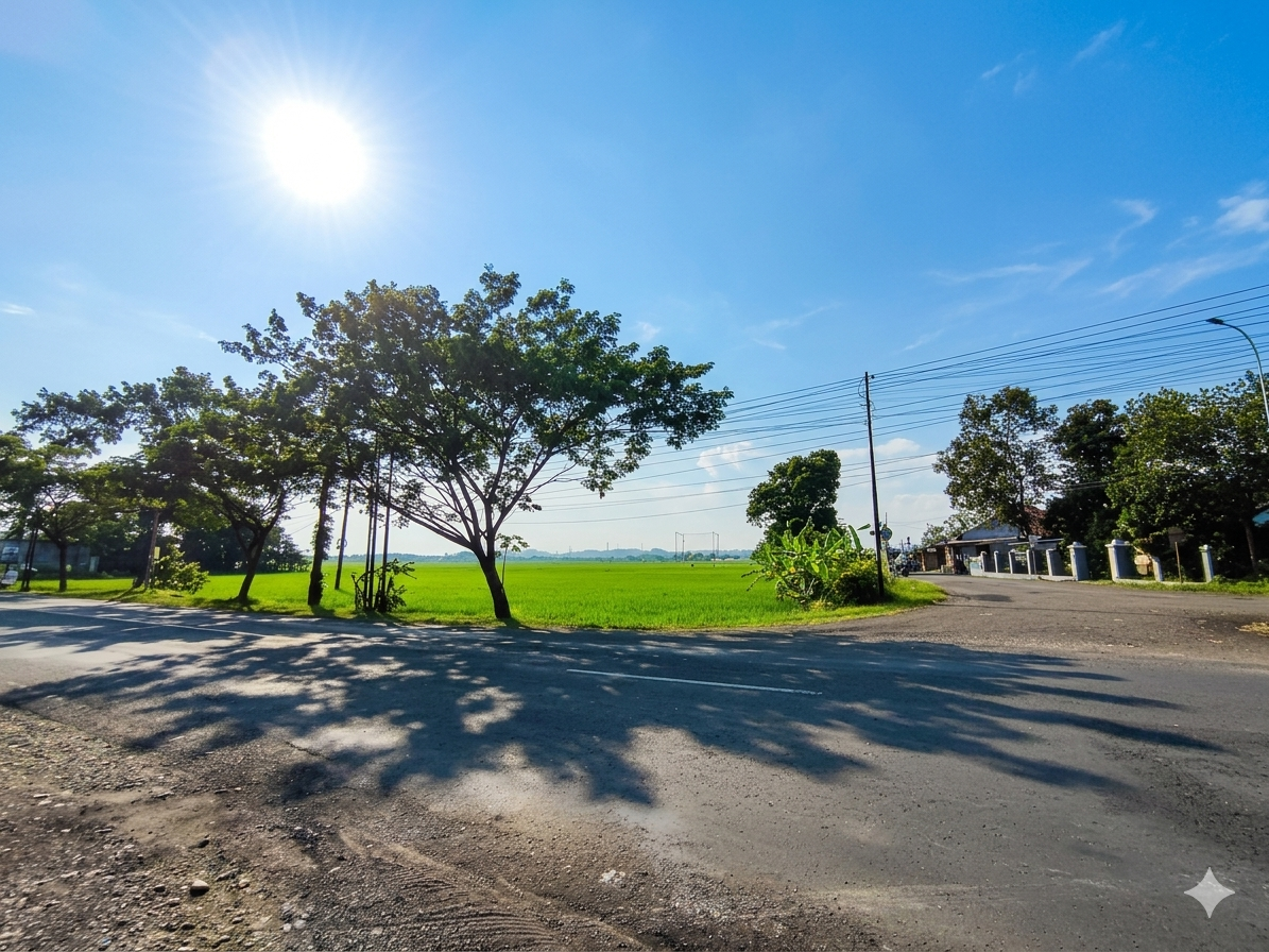 Dijual Sawah Hook Strategis Pinggir Jalan Raya Akses Tronton – Dekat RSUD Banyumas view 1