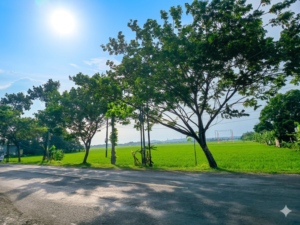 Dijual Sawah Hook Strategis Pinggir Jalan Raya Akses Tronton – Dekat RSUD Banyumas view 2