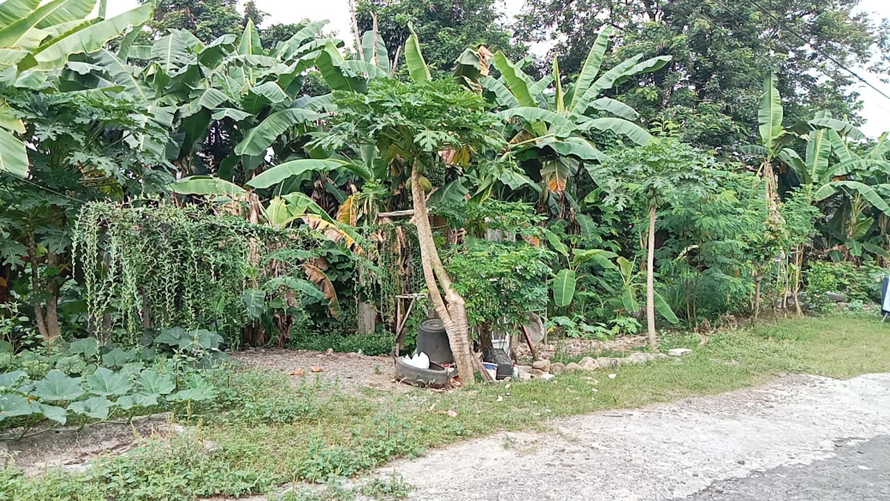 Dijual Tanah 7 Menit Alun-Alun Purwokerto - Kedungwringin view 2