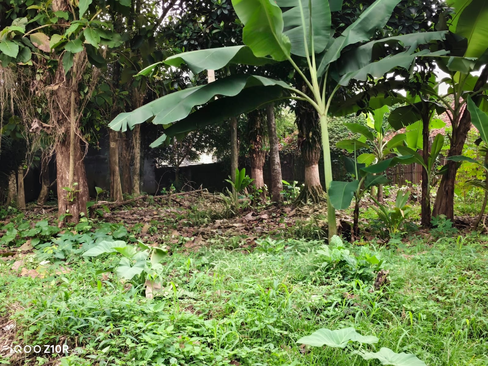 Tanah Luas Cocok Untuk Komplek Kos Area Purwokerto Utara - Karangwangkal view 3