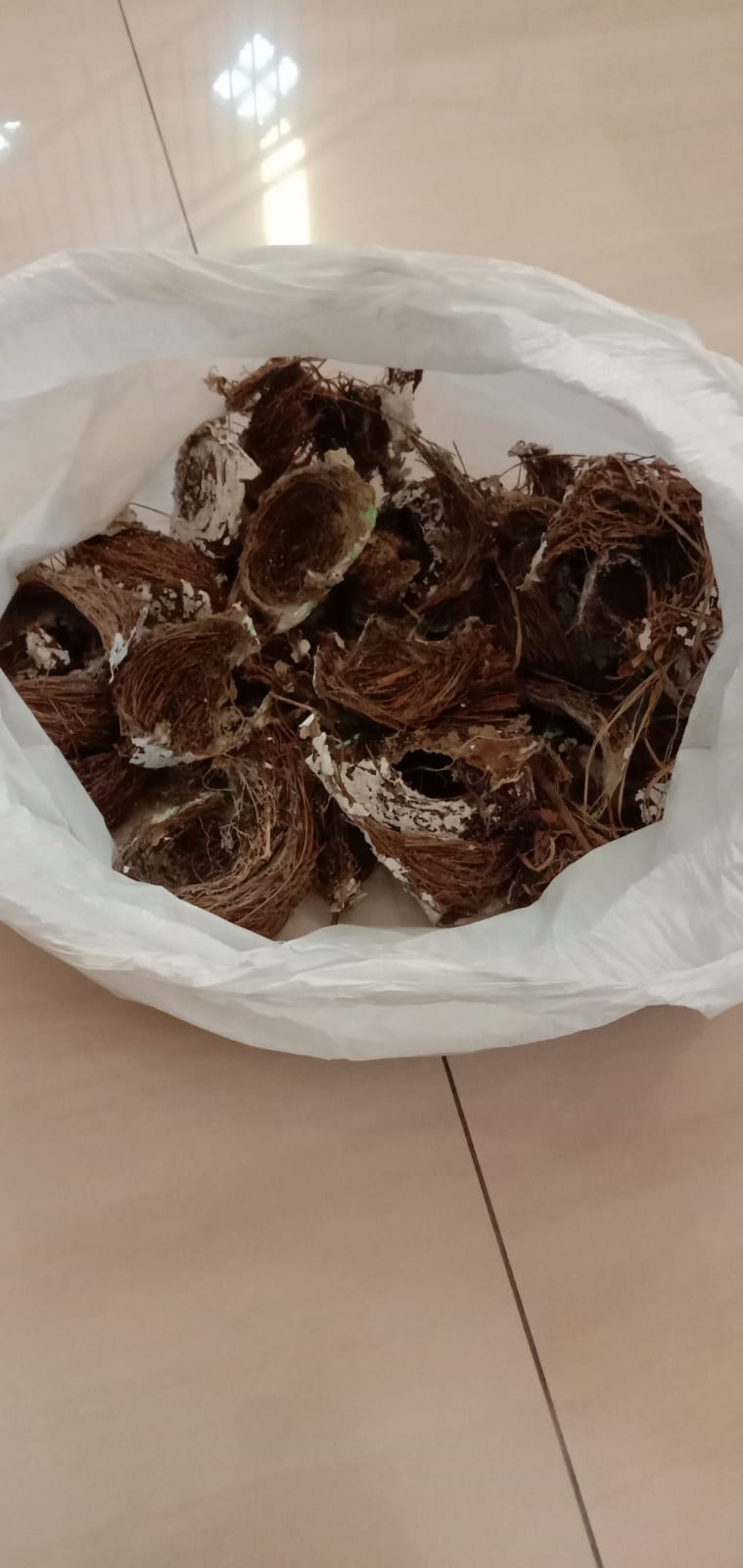 Dijual Ruko 2 lantai cocok untuk usaha retail Bonus Sarang Walet jalan Nasional Sumpiuh view 3