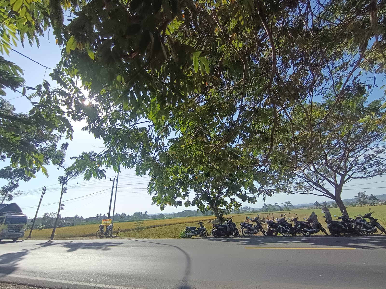 Dijual Tanah Sawah 1 Menit RSUD Banyumas view 1