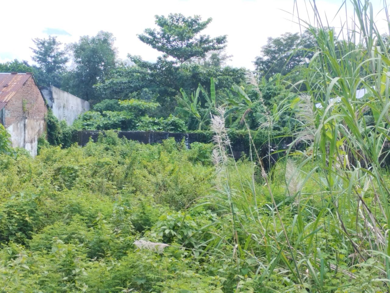 Dijual Tanah Lokasi Premium Lebar 15 Mtr - 1 Menit Dari Pasar Wage Purwokerto - marta view 2