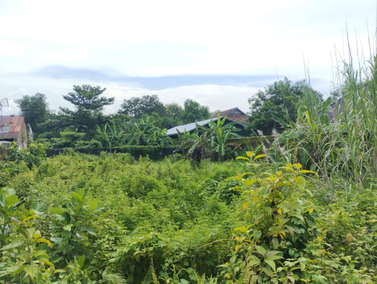 Dijual Tanah Lokasi Premium Lebar 15 Mtr - 1 Menit Dari Pasar Wage Purwokerto - marta view 4