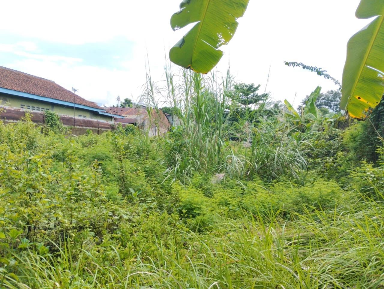 Dijual Tanah Lokasi Premium Lebar 15 Mtr - 1 Menit Dari Pasar Wage Purwokerto - marta view 5