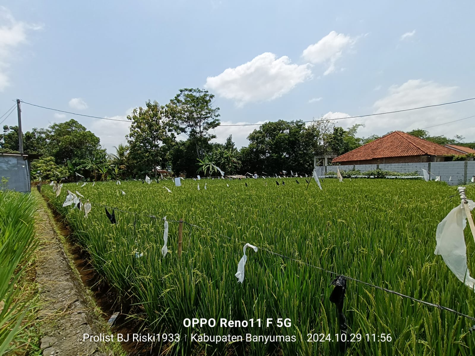 Dijual Tanah Lokasi Strategis Komplek Kuliner Sumbang - oemah tahu view 4