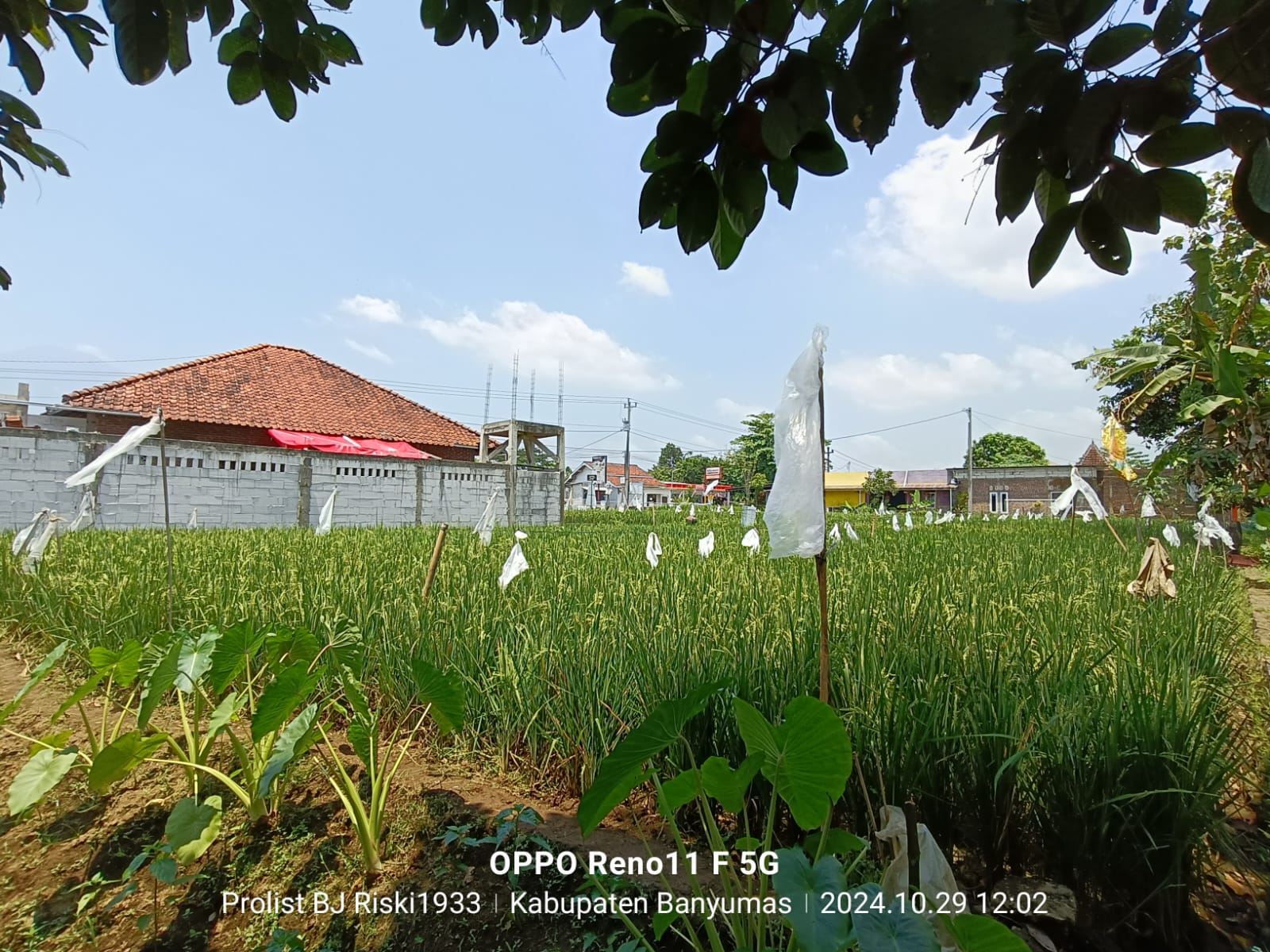 Dijual Tanah Lokasi Strategis Komplek Kuliner Sumbang - oemah tahu view 5