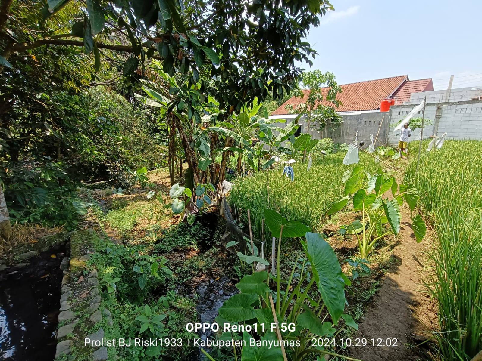 Dijual Tanah Lokasi Strategis Komplek Kuliner Sumbang - oemah tahu view 6