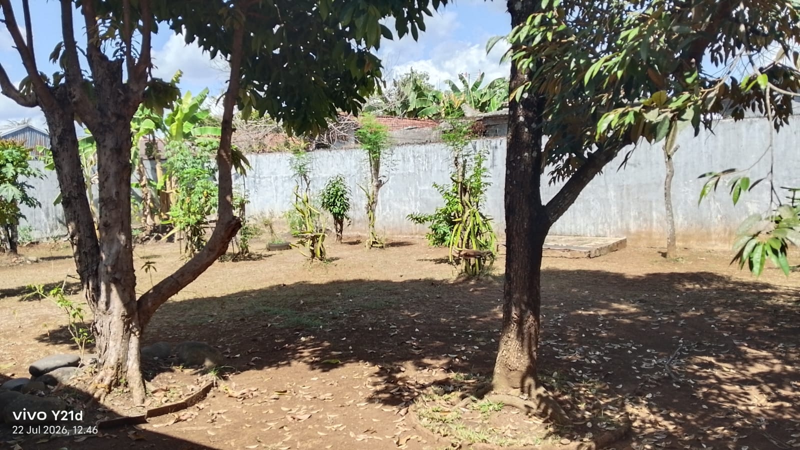 Dijual Rumah Tinggal Kalimanah Purbalingga Lahan Luas cocok Kos dan Investasi - Sidakangen view 9