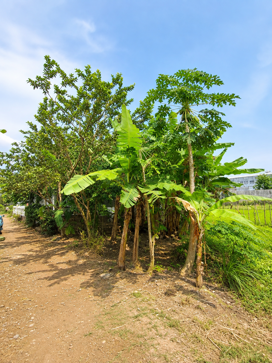 Dijual Tanah Pekarangan Non Perum 2 Menit Andang Pangrenan view 1