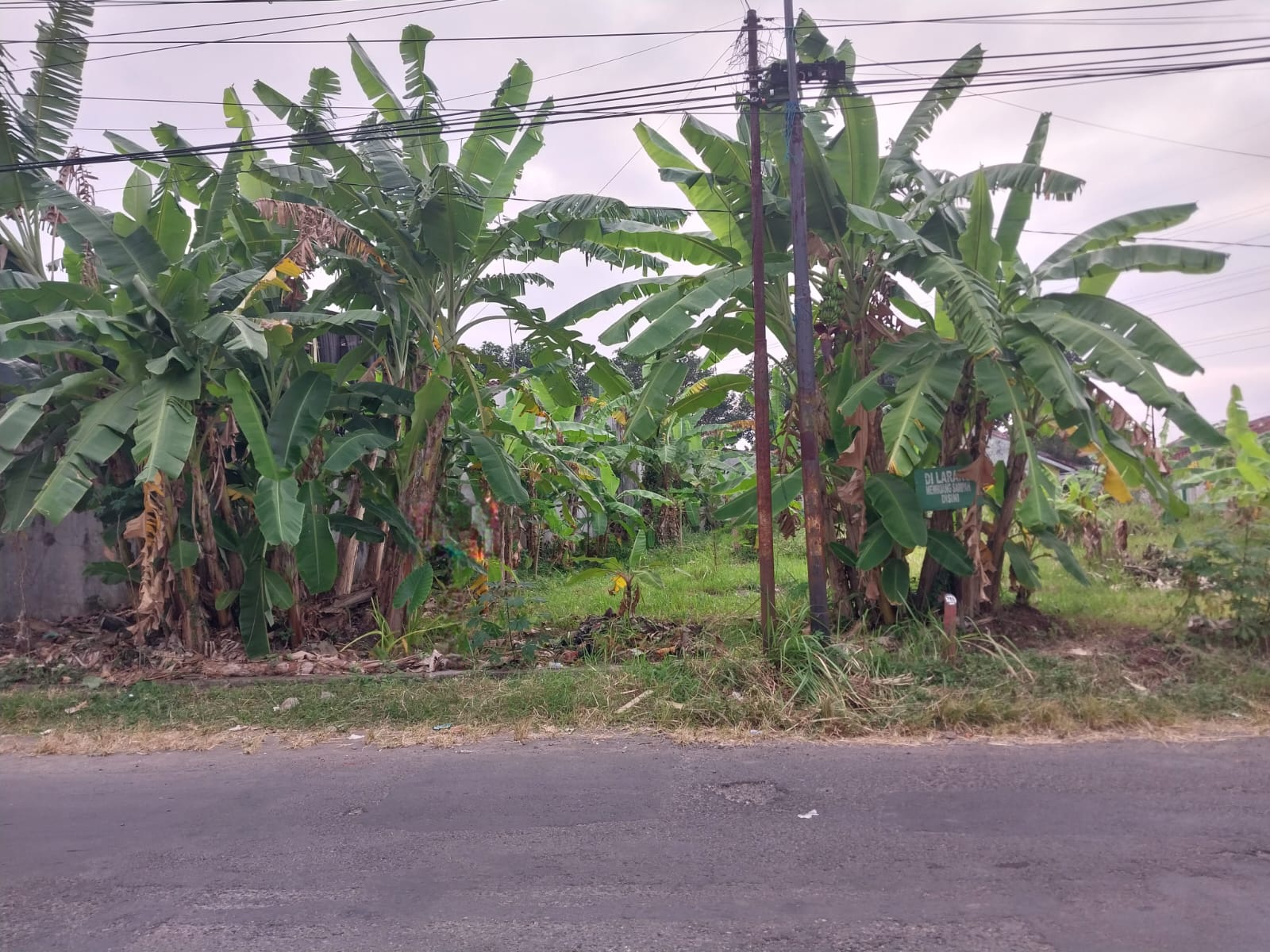  Tanah Pinggir Jalan cocok untu kost 2 Menit Taman Andang Pangrenan -  Hos view 3