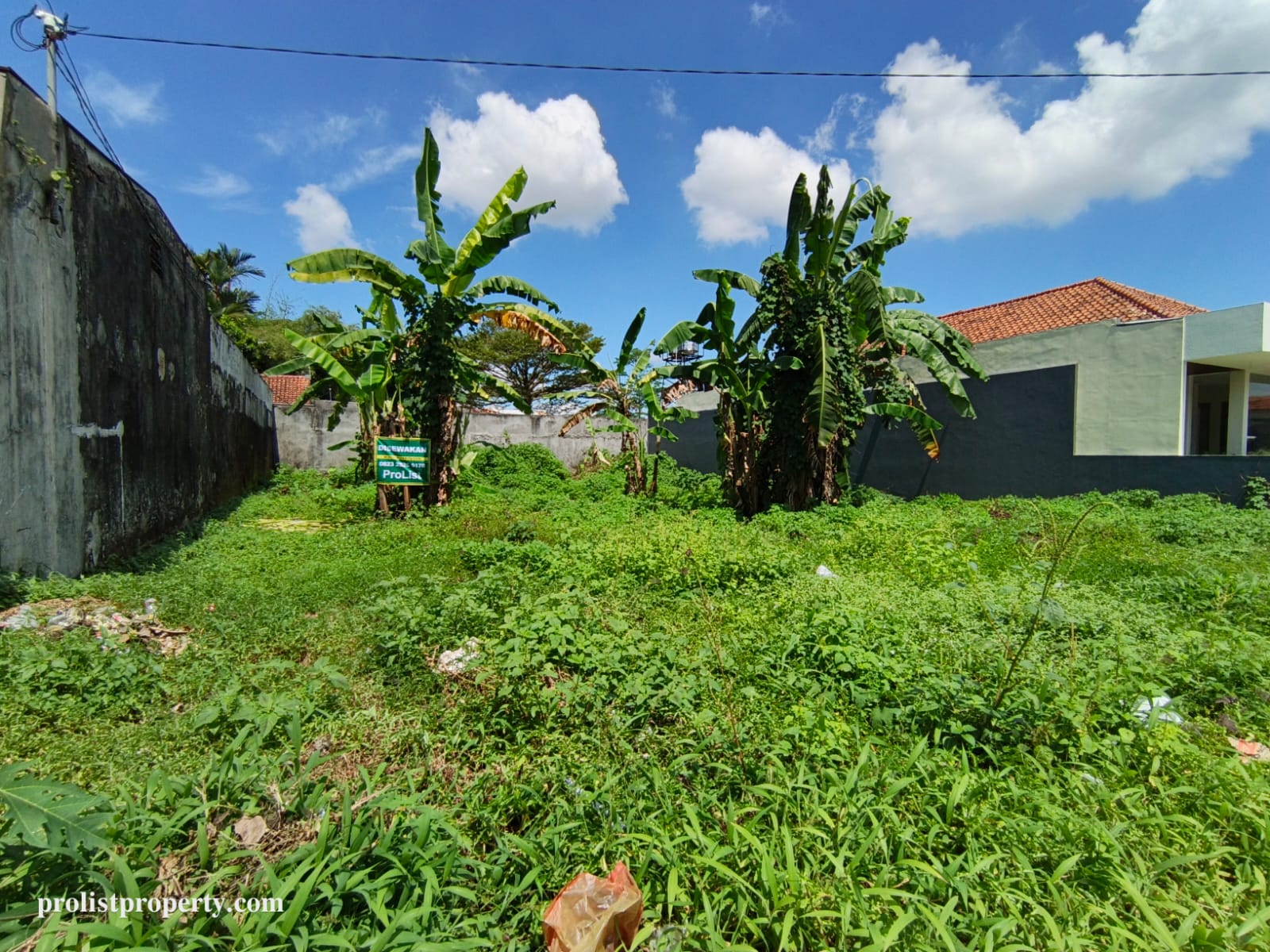Disewakan Tanah Pekarangan Siap Pakai Pinggir Jalan Ramai Di Purwokerto Timur view 2
