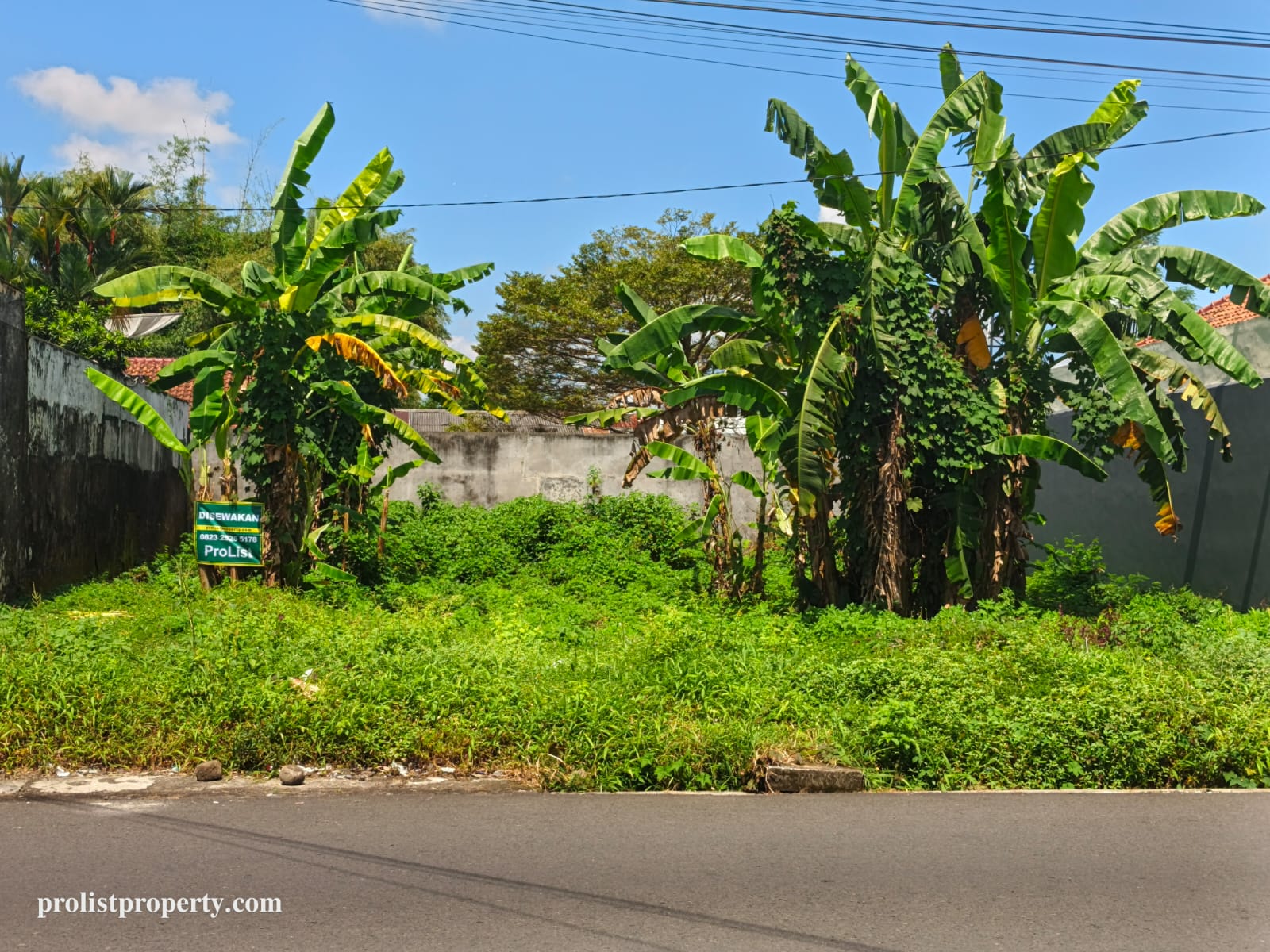 Disewakan Tanah Pekarangan Siap Pakai Pinggir Jalan Ramai Di Purwokerto Timur view 3