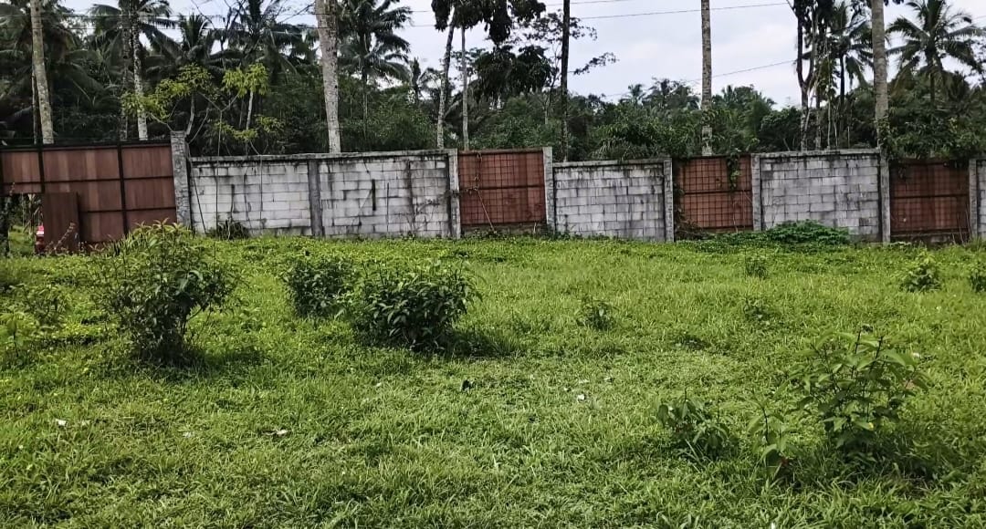 Dijual Segera Tanah & Kebun Produktif Area Baturaden - Ganda view 1