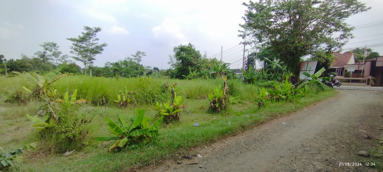   Dijual Tanah Pekarangan Jalan Raya Wirasana, 3 Menit RSUD Purbalingga view 4