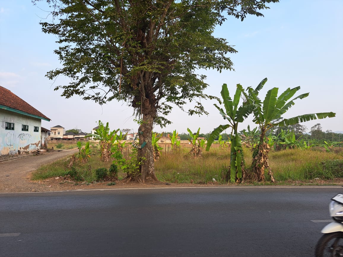   Dijual Tanah Pekarangan Jalan Raya Wirasana, 3 Menit RSUD Purbalingga view 1
