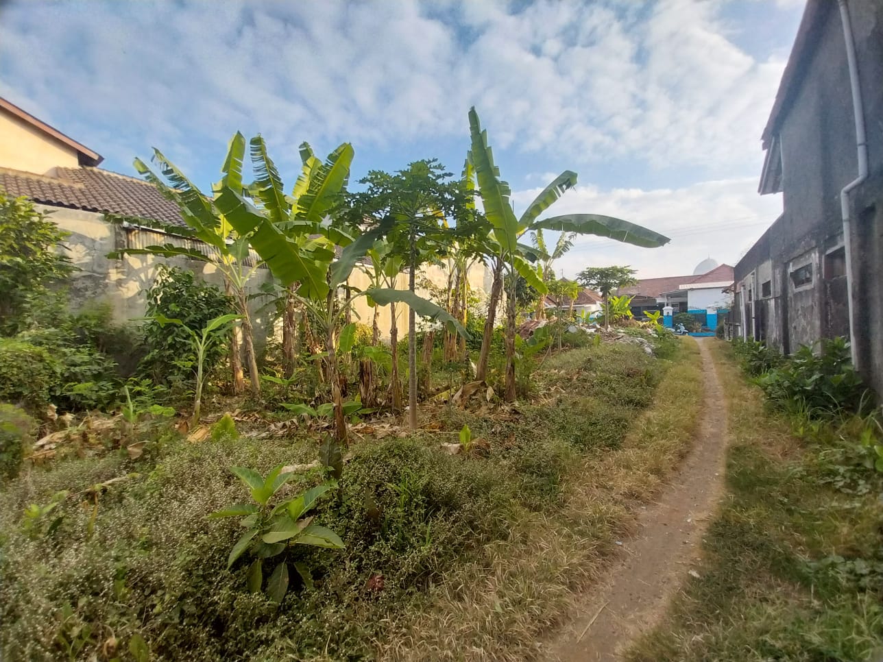 Dijual Tanah Super Strategis 500 meter ke Alun-alun Purwokerto - Kranji view 7