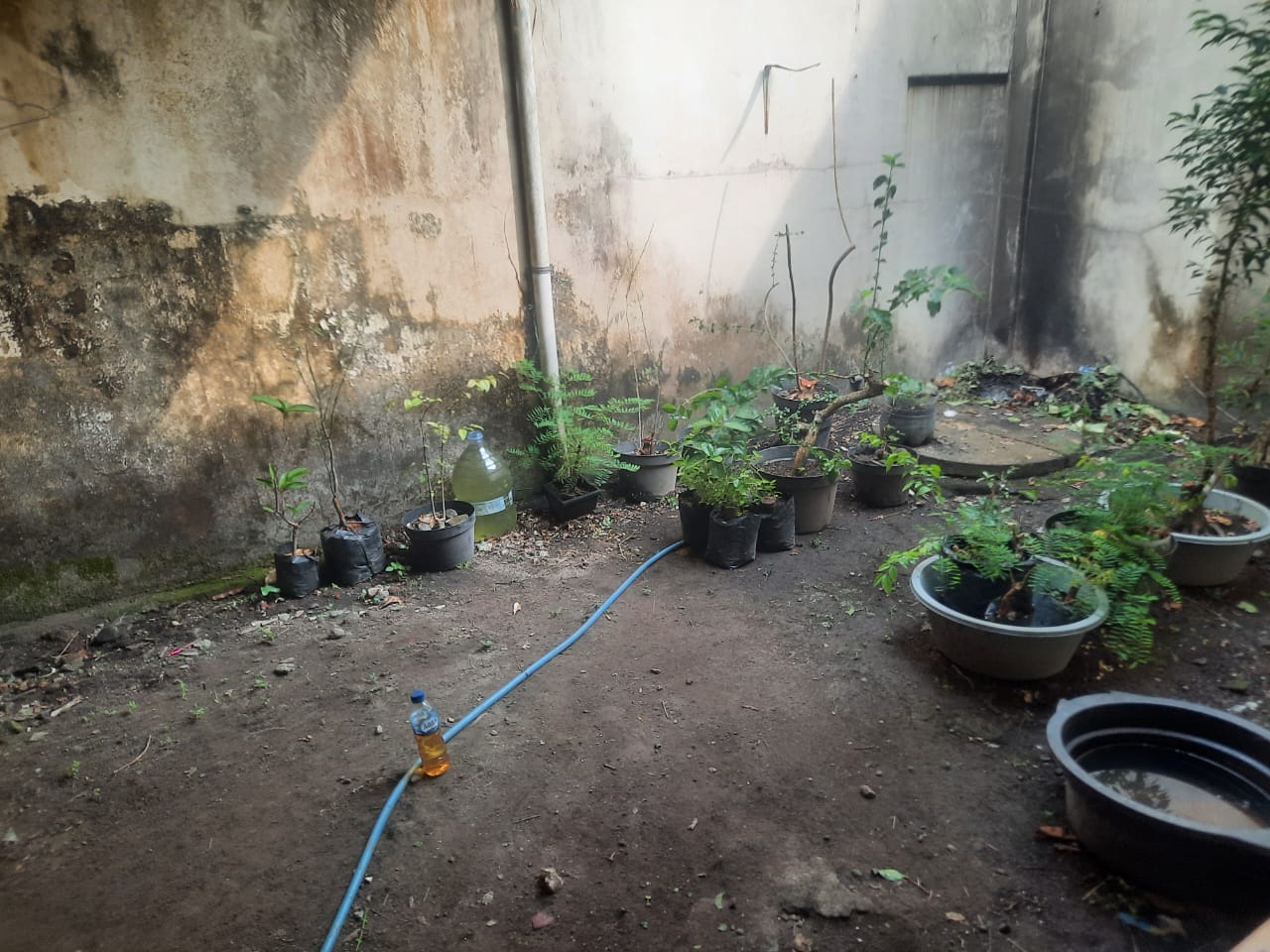 Dijual Rumah Minimalis dalam cluster, Tamantirto Yogyakarta view 10