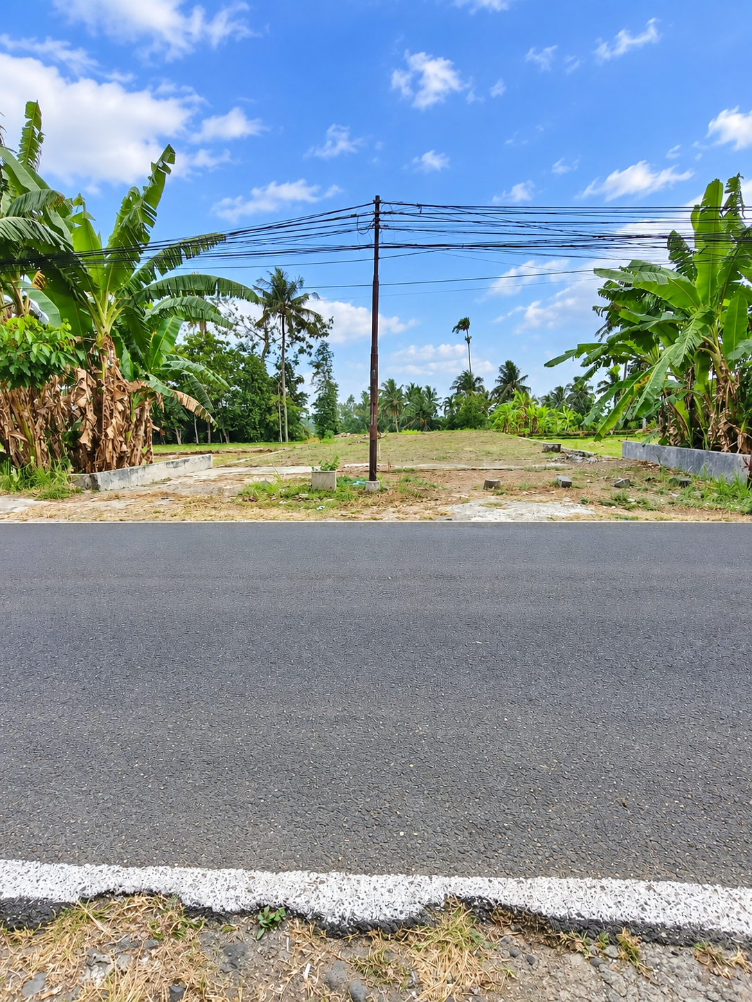 Dijual Tanah Pinggir Jalan 2 Menit Universitas Wijaya Kusuma Purwokerto - Ks Tubun view 1