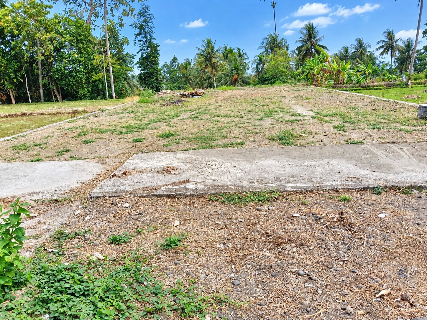 Dijual Tanah Pinggir Jalan 2 Menit Universitas Wijaya Kusuma Purwokerto - Ks Tubun view 5