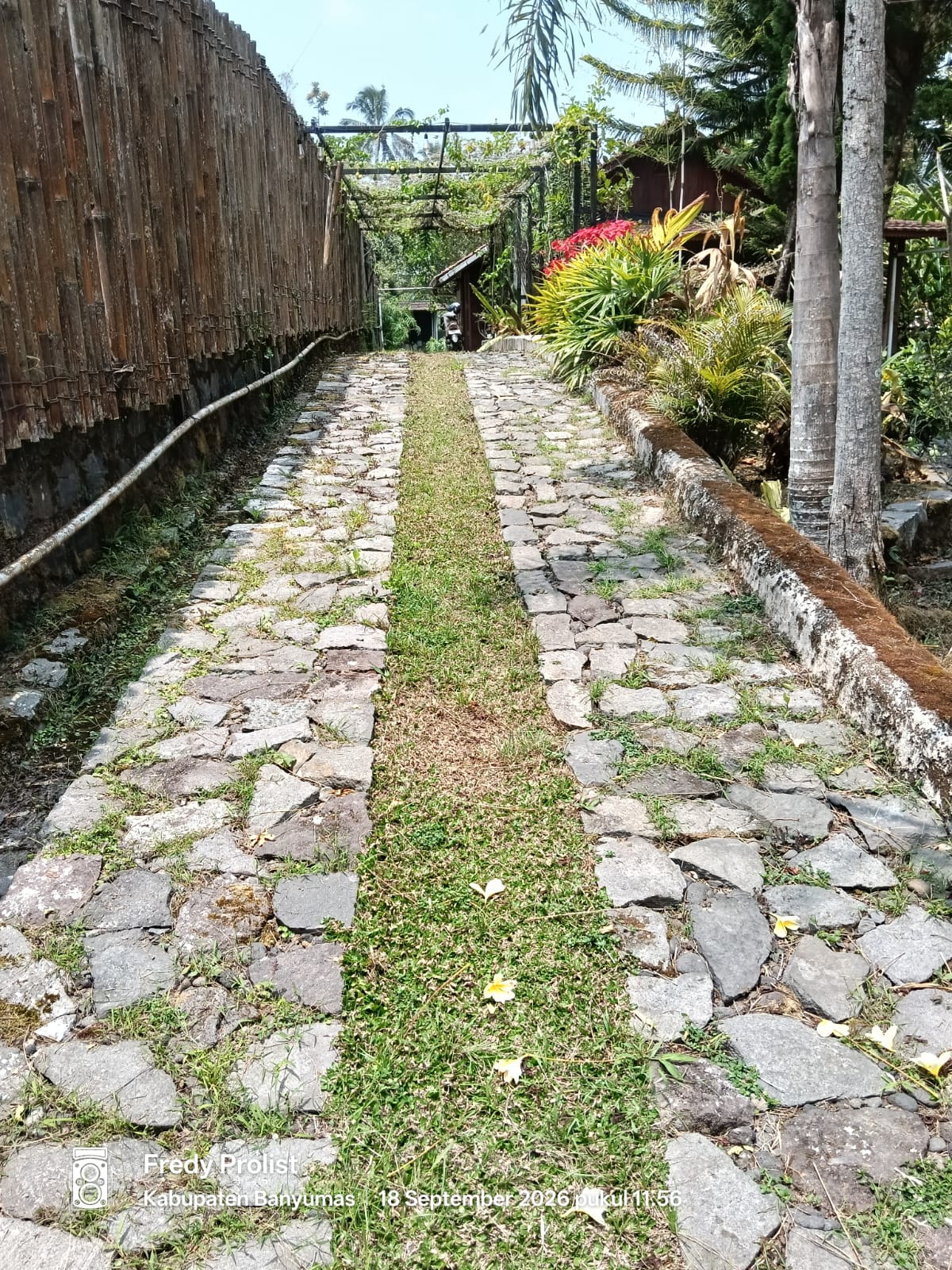 Dijual Villa Nuansa Alami View Sawah Hawa Sejuk Bonus Furniture Baturraden - Caub view 8