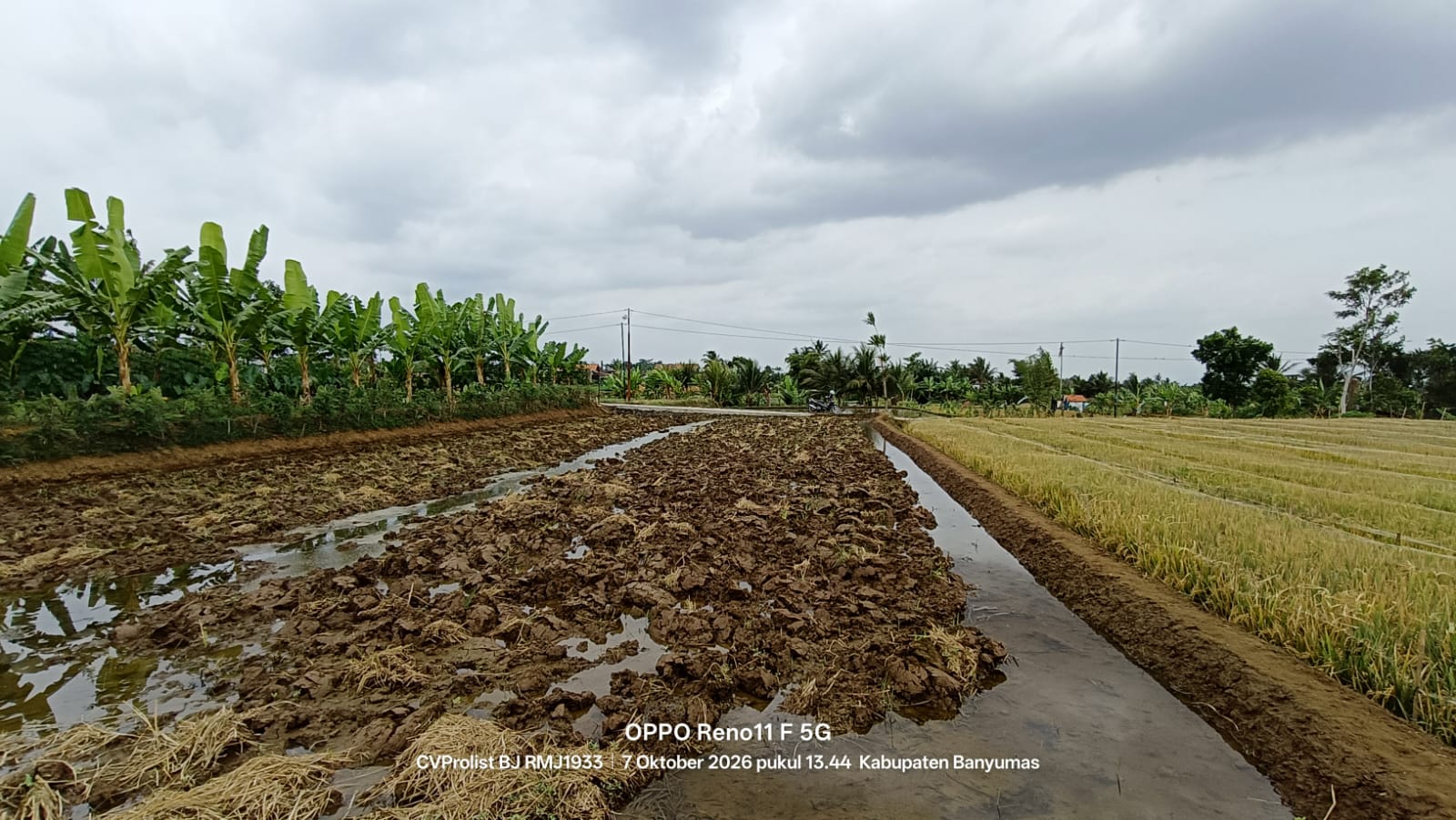 Dijual Tanah View Gunung Dan Sawah Di Komplek Embung Karangnangka view 4