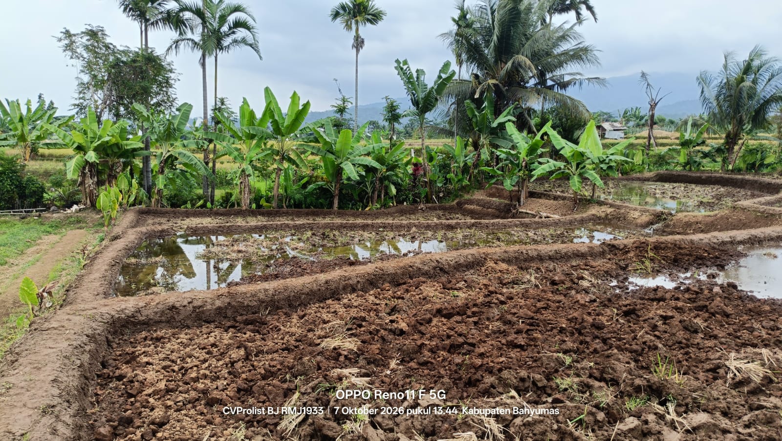 Dijual Tanah View Gunung Dan Sawah Di Komplek Embung Karangnangka view 7