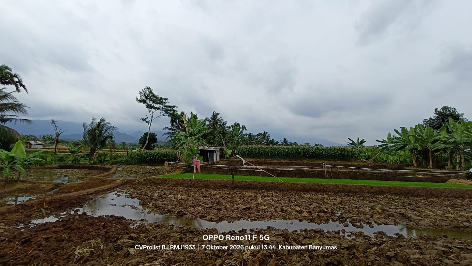 Dijual Tanah View Gunung Dan Sawah Di Komplek Embung Karangnangka view 8