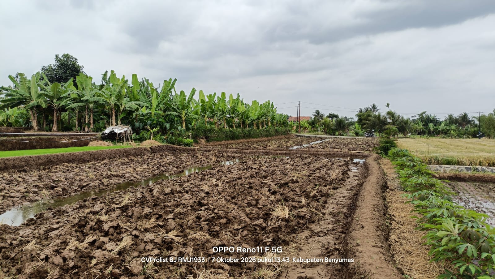 Dijual Tanah View Gunung Dan Sawah Di Komplek Embung Karangnangka view 9