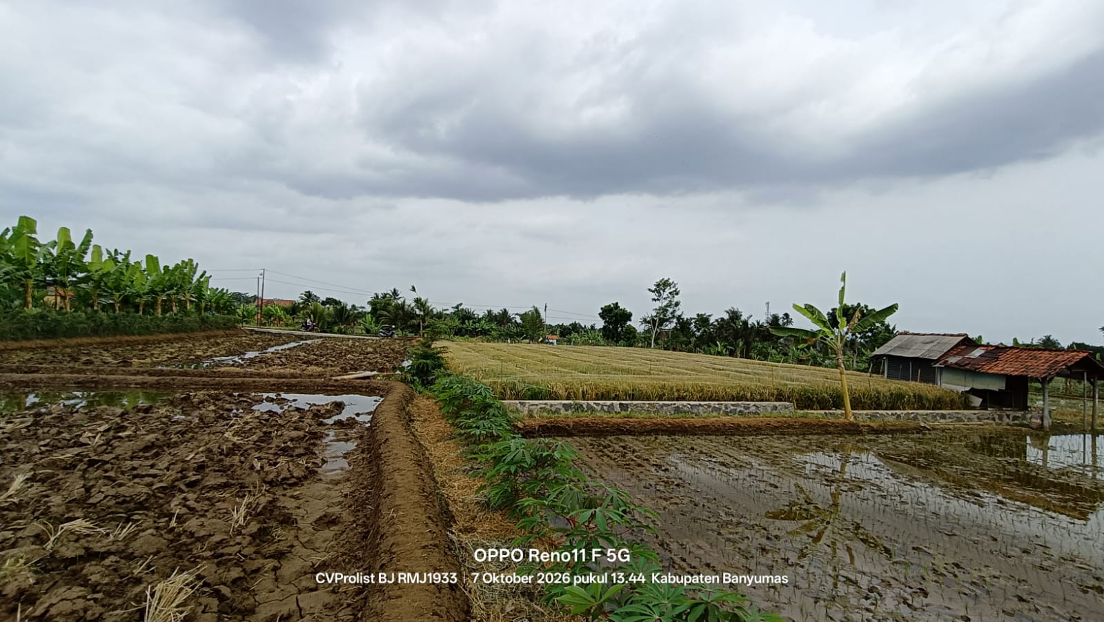 Dijual Tanah View Gunung Dan Sawah Di Komplek Embung Karangnangka view 10