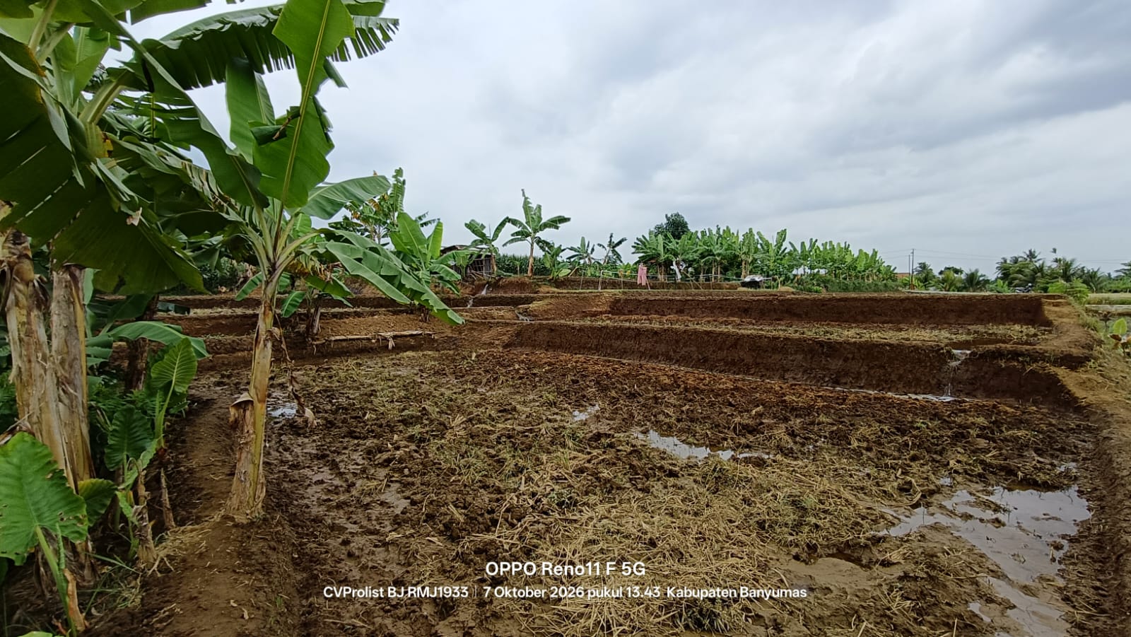 Dijual Tanah View Gunung Dan Sawah Di Komplek Embung Karangnangka view 11