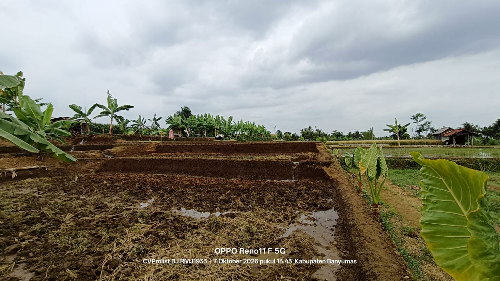 Dijual Tanah View Gunung Dan Sawah Di Komplek Embung Karangnangka view 12