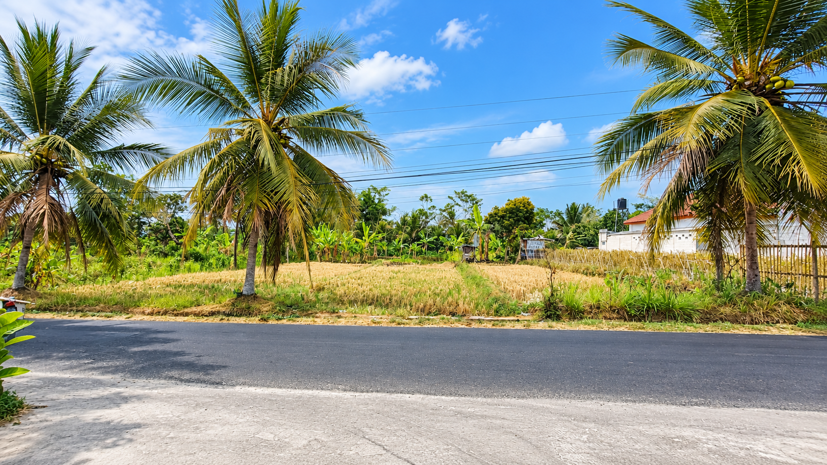 Dijual Tanah Di Pinggir Jalan Raya Beji view 1