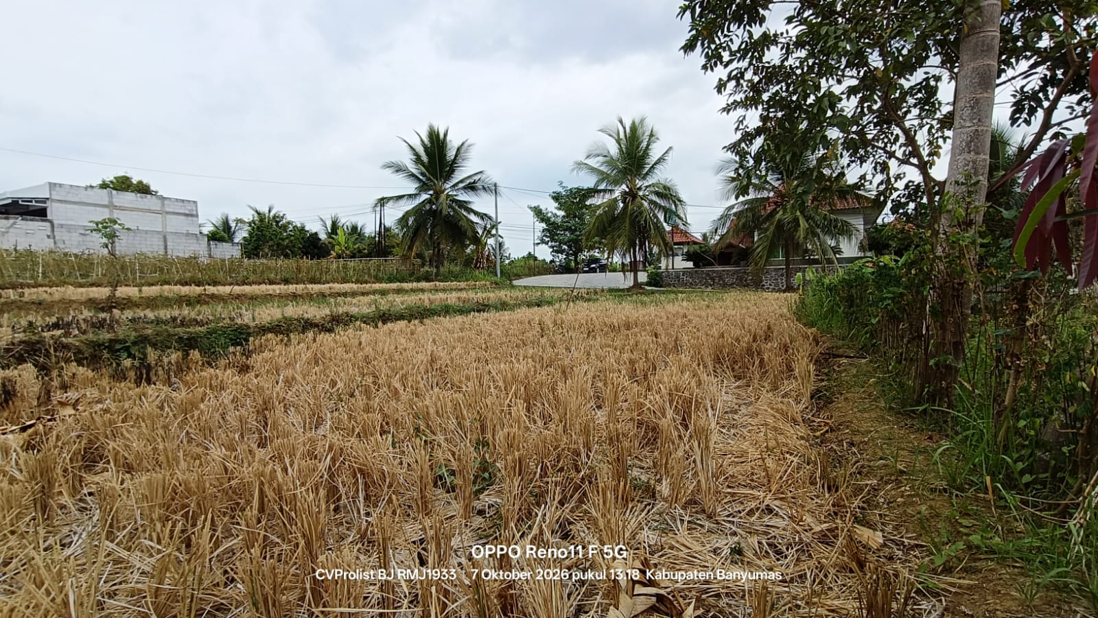 Dijual Tanah Di Pinggir Jalan Raya Beji view 4