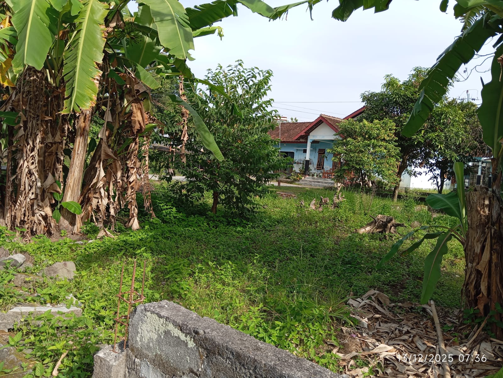 Dijual Tanah Murah 20 meter ke JL Raya Pendowoharjo, Sleman view 2