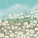 Summer Breeze